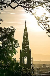 Münster von Freiburg bei Sonnenuntergang 