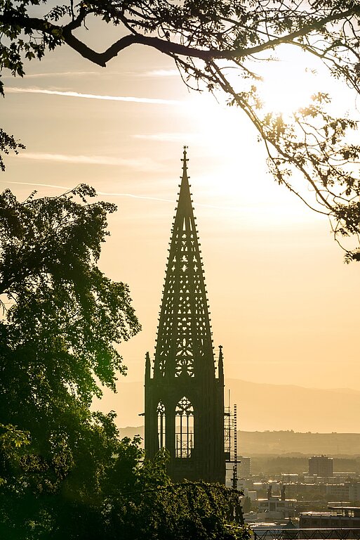 Münster von Freiburg bei Sonnenuntergang 